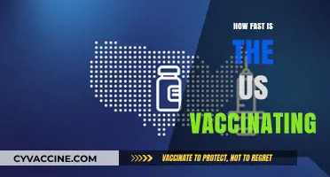 US Vaccination Speed: Tracking the Pace of COVID-19 Immunization Efforts