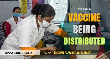 Global Vaccine Rollout: Tracking Speed and Distribution Challenges