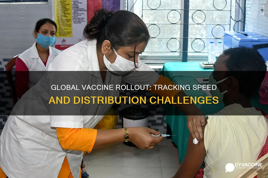 how fast is vaccine being distributed