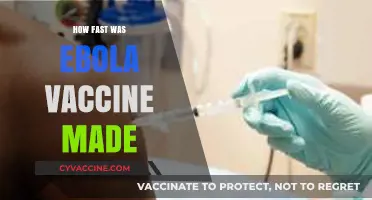 Ebola Vaccine Development: Unprecedented Speed and Global Collaboration