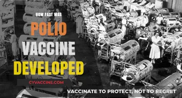 The Rapid Race to Develop the Polio Vaccine: A Timeline