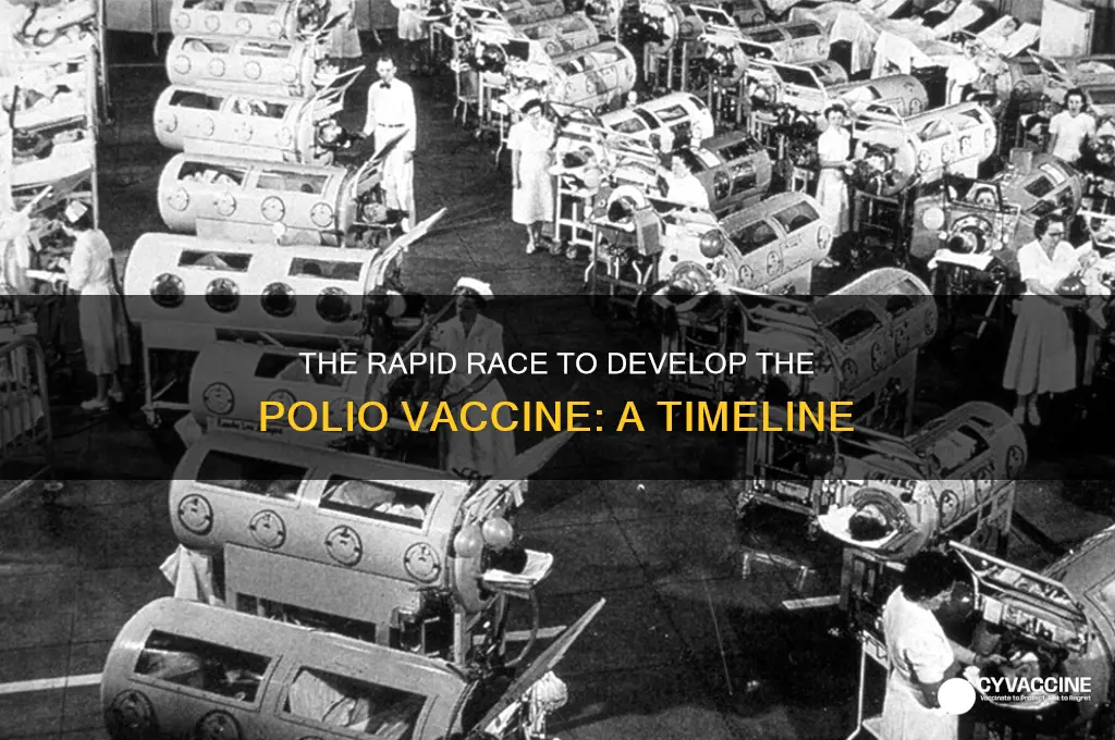 how fast was polio vaccine developed