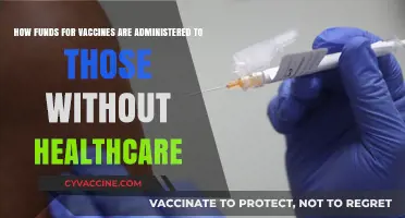 Ensuring Vaccine Access: Funding Strategies for the Uninsured Population