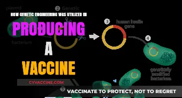Genetic Engineering Breakthroughs: Revolutionizing Vaccine Development and Production