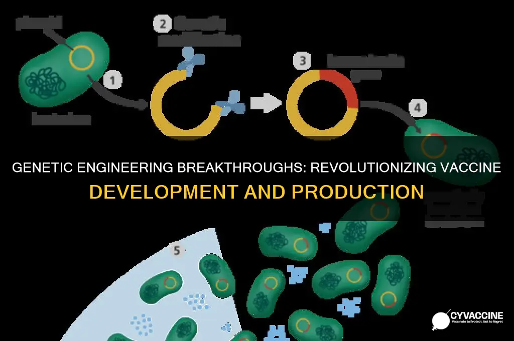 how genetic engineering was utilized in producing a vaccine