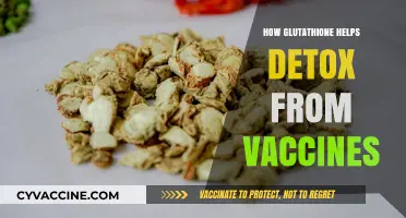 Glutathione's Role in Supporting Vaccine Detoxification and Recovery