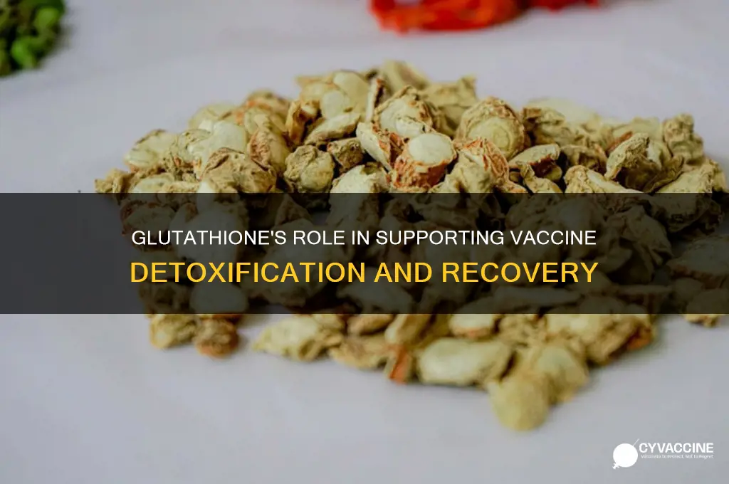 how glutathione helps detox from vaccines