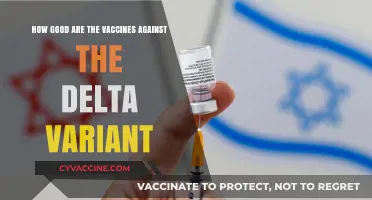 Delta Variant Defense: How Effective Are Current Vaccines?