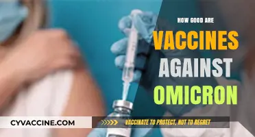 Vaccines vs. Omicron: Efficacy, Protection, and What You Need to Know