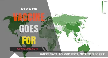 How Effective Are Vaccines? Exploring Their Benefits and Longevity