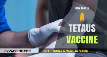 Tetanus Vaccine: Effectiveness, Benefits, and Why It's Essential for Health