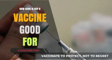 Hepatitis B Vaccine: Effectiveness, Duration, and Long-Term Protection Explained