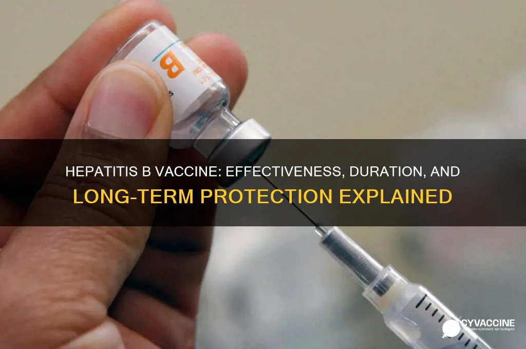how good is hep b vaccine good for