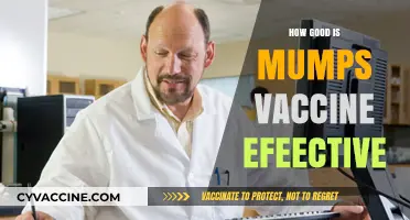 Mumps Vaccine Effectiveness: How Well Does It Protect?