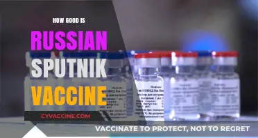 Sputnik V Vaccine: Efficacy, Safety, and Global Impact Explored