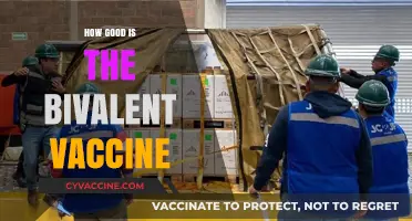 Bivalent Vaccine Effectiveness: A Comprehensive Review of Its Benefits