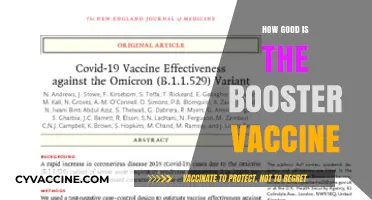 Is the Booster Vaccine Effective? A Comprehensive Review and Analysis