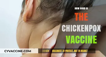 Is the Chickenpox Vaccine Effective? A Comprehensive Review and Analysis