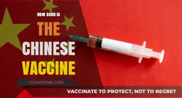 Evaluating China's COVID-19 Vaccine: Efficacy, Safety, and Global Impact