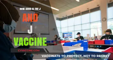 J&J Vaccine: Efficacy, Safety, and Real-World Performance Explained