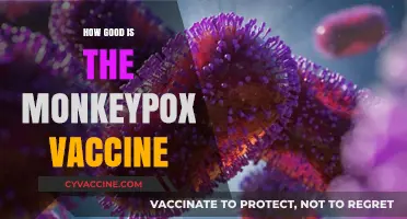 Monkeypox Vaccine Effectiveness: What You Need to Know Now