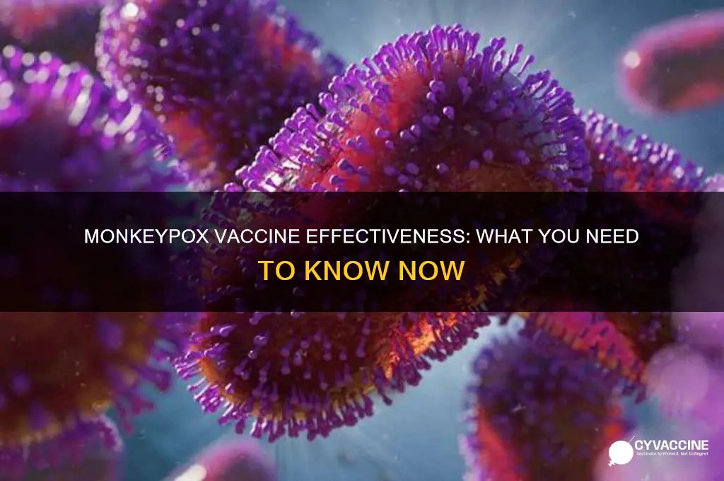how good is the monkeypox vaccine