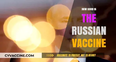 Evaluating the Russian Vaccine: Effectiveness, Safety, and Global Impact