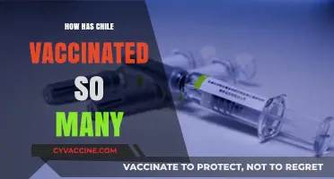 Chile's Vaccination Triumph: Strategies Behind Rapid COVID-19 Immunization Success