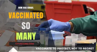 Israel's Rapid Vaccination Success: Strategies Behind the Global Leader