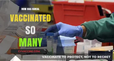 Israel's Rapid Vaccination Success: Strategies and Lessons for the World