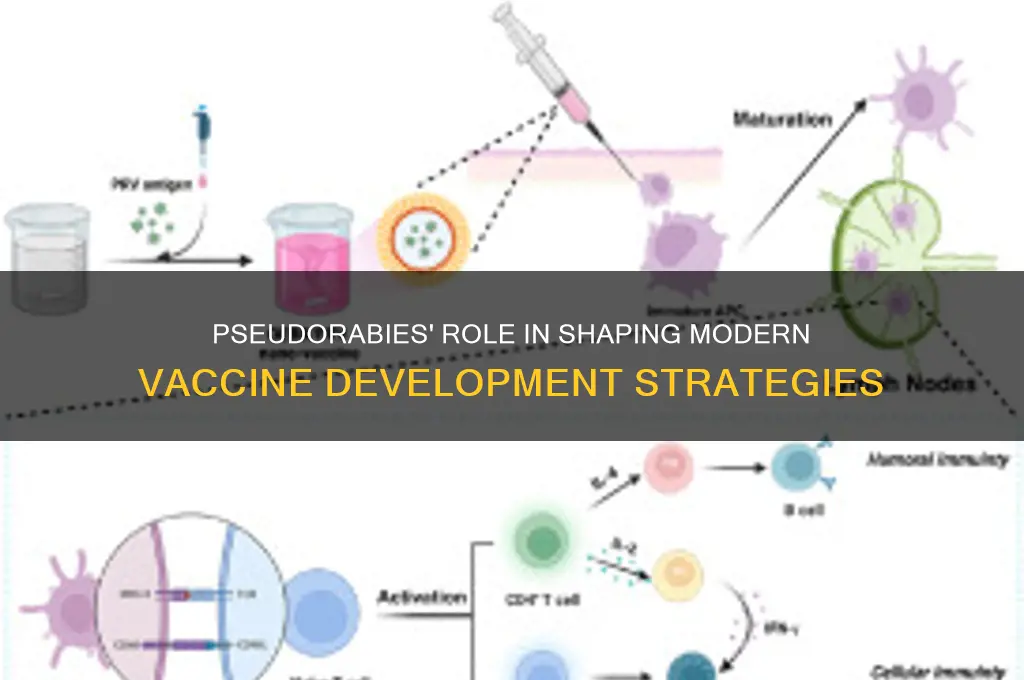 how has pseudorabies impacted the development of vaccines