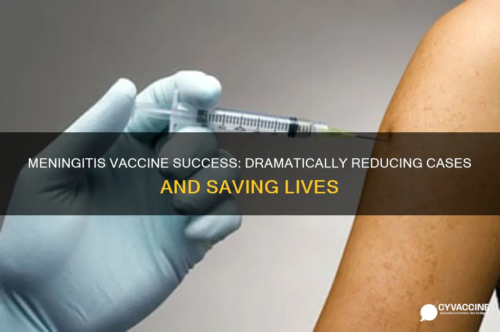 how has the meningitis vaccine decreased the number of cases