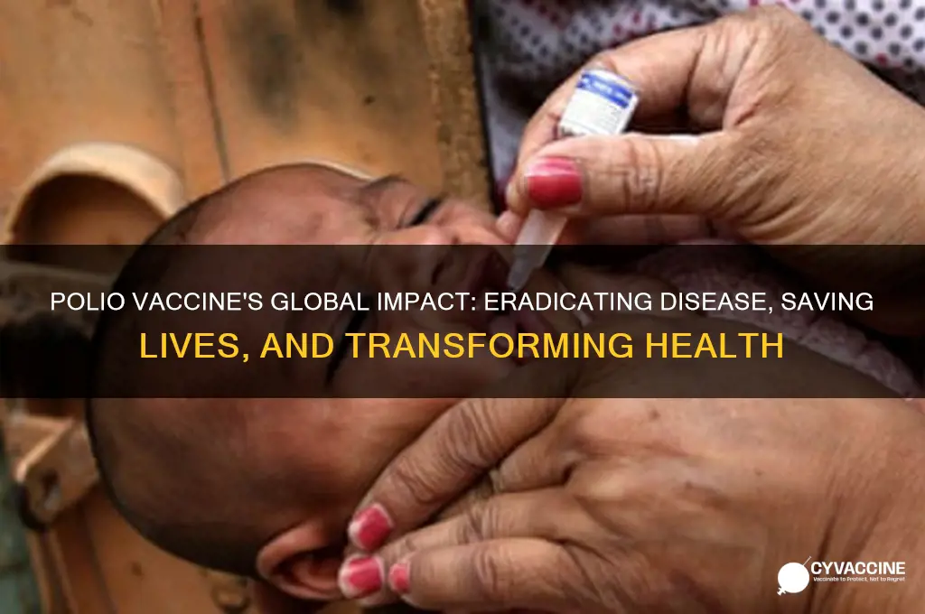 how has the polio vaccine helped the world