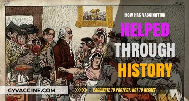 Vaccination's Historic Impact: Eradicating Diseases and Saving Lives Globally