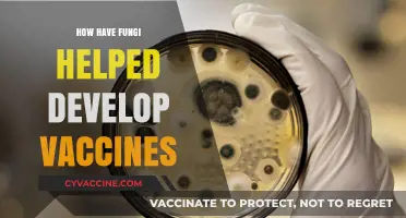 Fungi's Surprising Role in Advancing Vaccine Development and Medicine