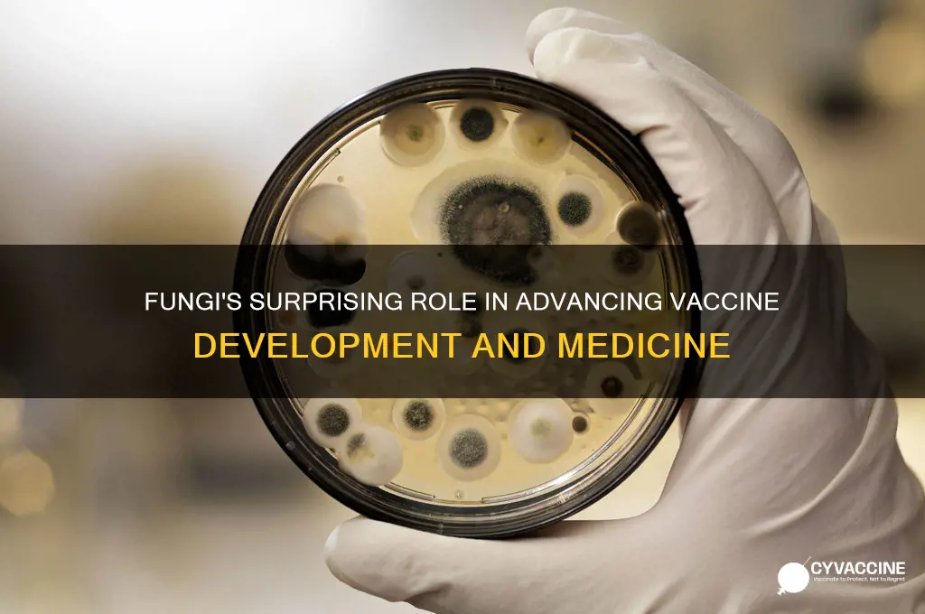how have fungi helped develop vaccines