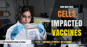 Hela Cells' Revolutionary Role in Advancing Vaccine Development and Research