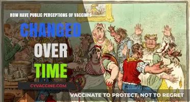 Shifting Public Trust: The Evolution of Vaccine Perceptions Over Time