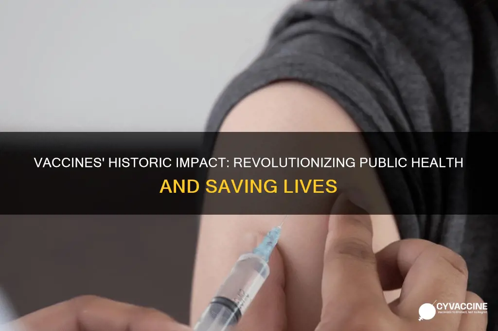 how have vaccines transformed public health in the past