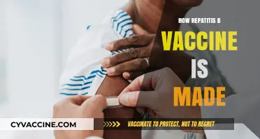 The Science Behind Creating the Hepatitis B Vaccine: A Detailed Guide