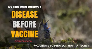 Natural Immunity: How Humans Fought Diseases Before Vaccines Existed