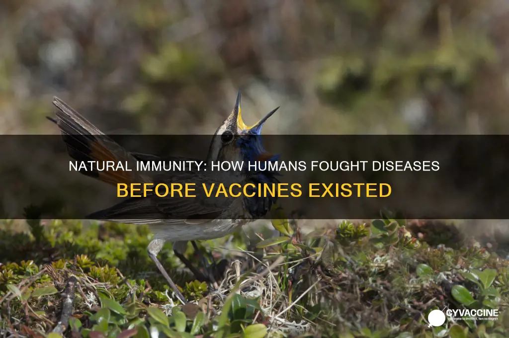 how human acquire immunity to a disease before vaccine