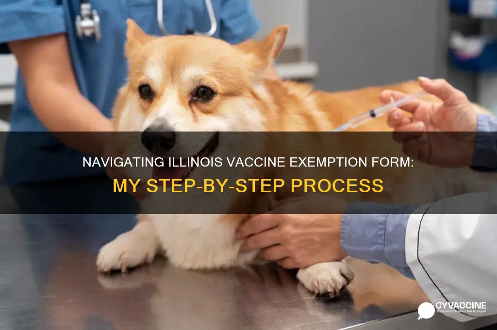 how i filled out illinois vaccine exemption form
