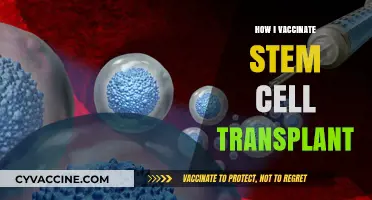 Vaccinating After Stem Cell Transplant: My Personal Journey and Tips