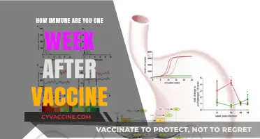 One Week Post-Vaccine: Understanding Your Immune System's Response