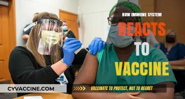 Understanding Immune Response: How Vaccines Trigger Protective Immunity