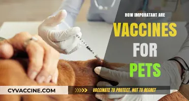 Protecting Your Pets: The Vital Role of Vaccines in Pet Health