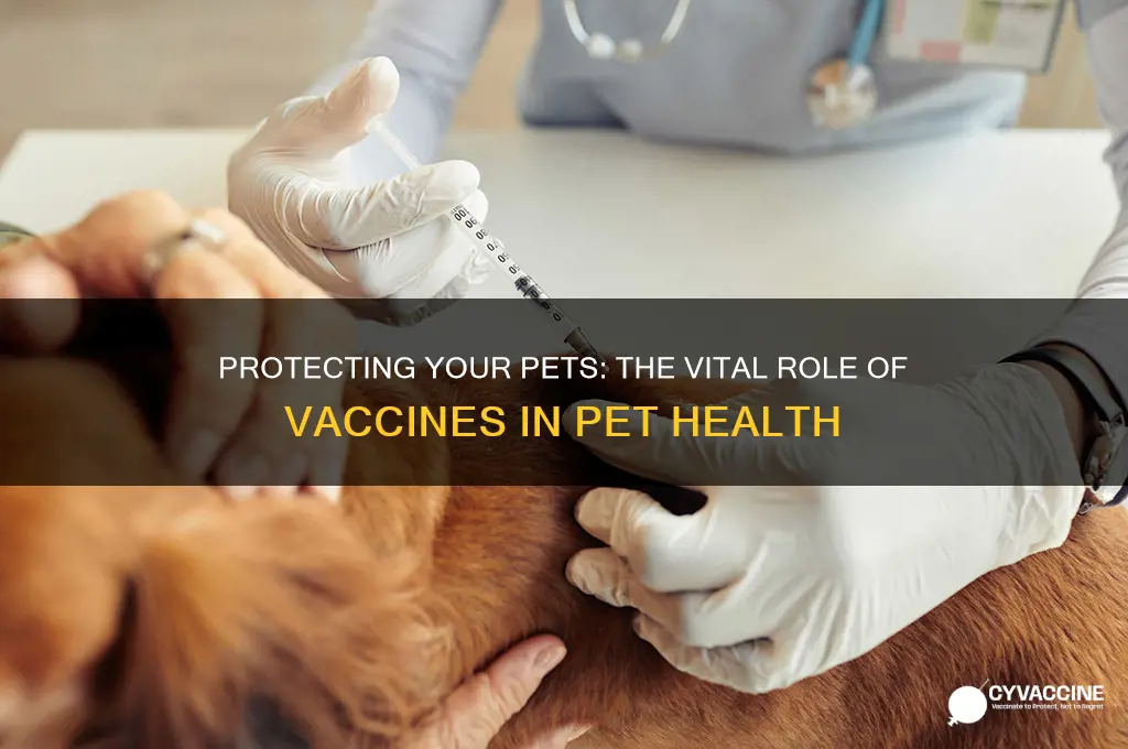 how imporatant are vaccines for pets