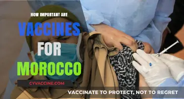 Vaccines in Morocco: A Lifeline for Public Health and Progress