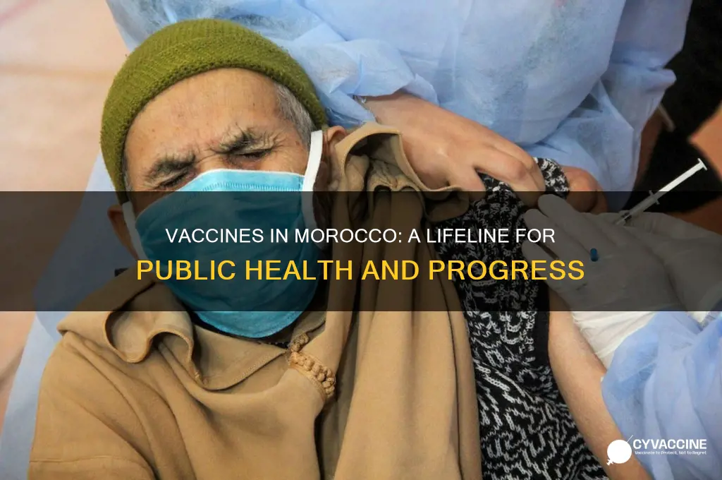 how important are vaccines for morocco